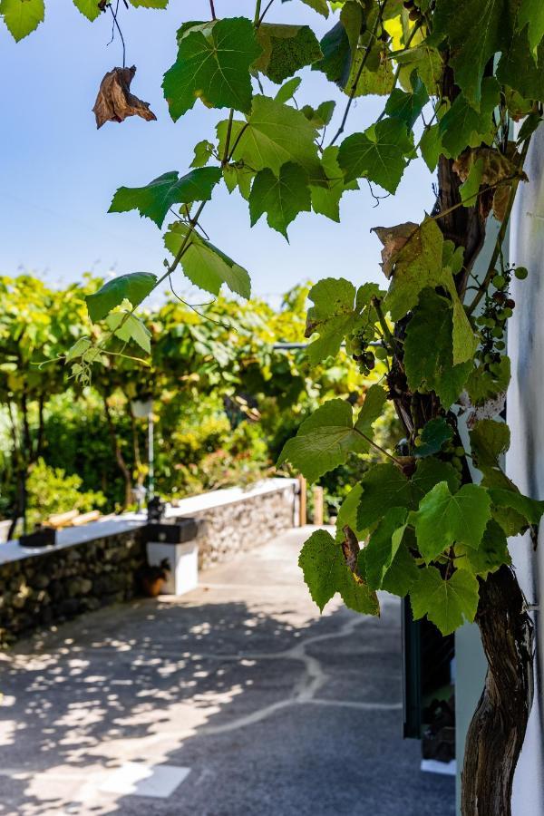 O Refugio Villa Água de Alto Екстериор снимка